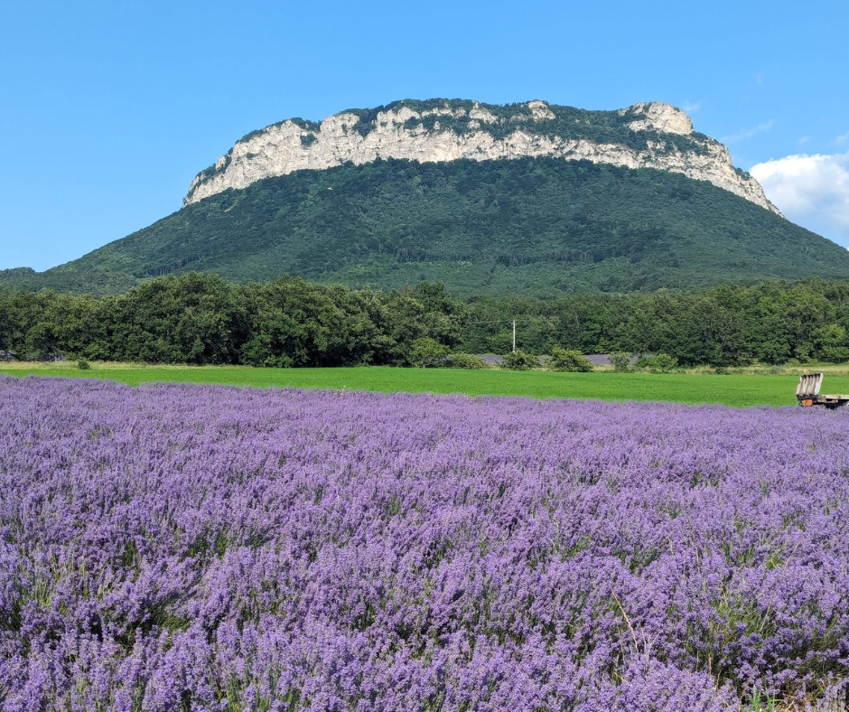 estimation-Drome-provencale-rocher-de-saou